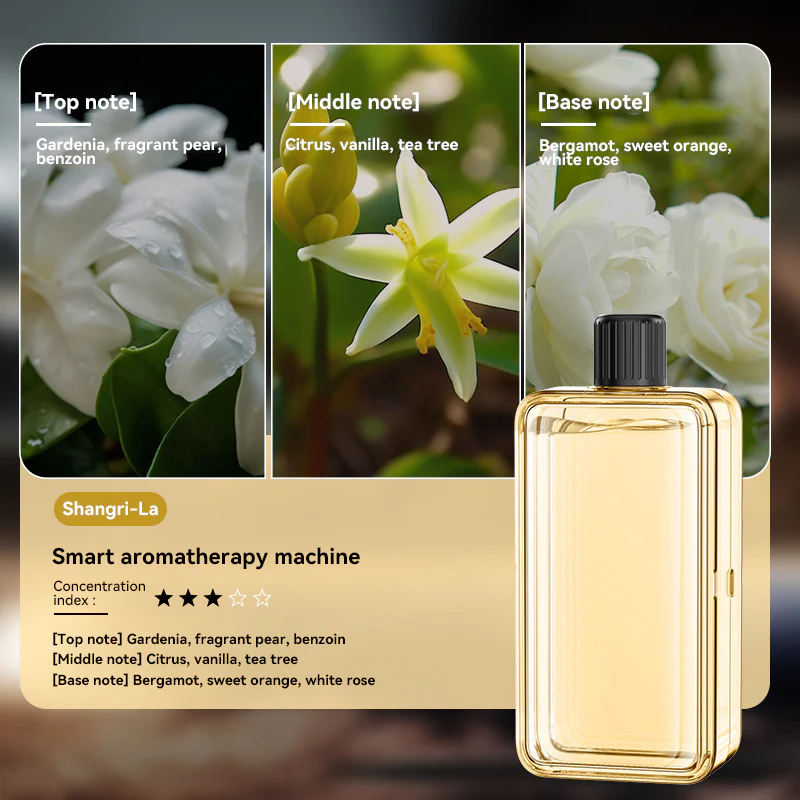 Aromatherapy Machine - Image 19
