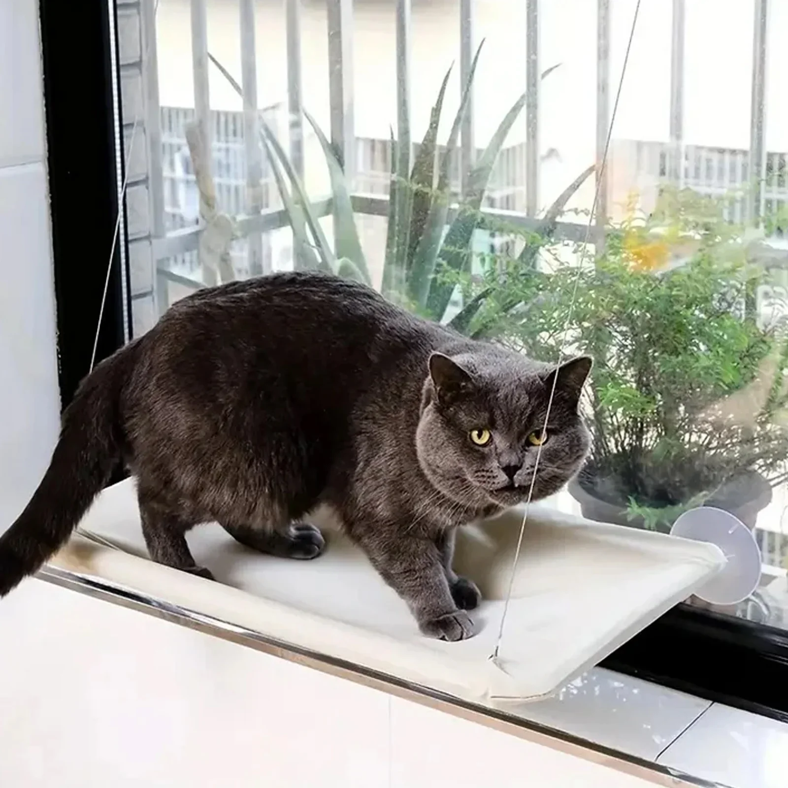 Cat Window Hammock Bed – Suction Cup Hanging Seat for Sunny Window Lounging - Image 3