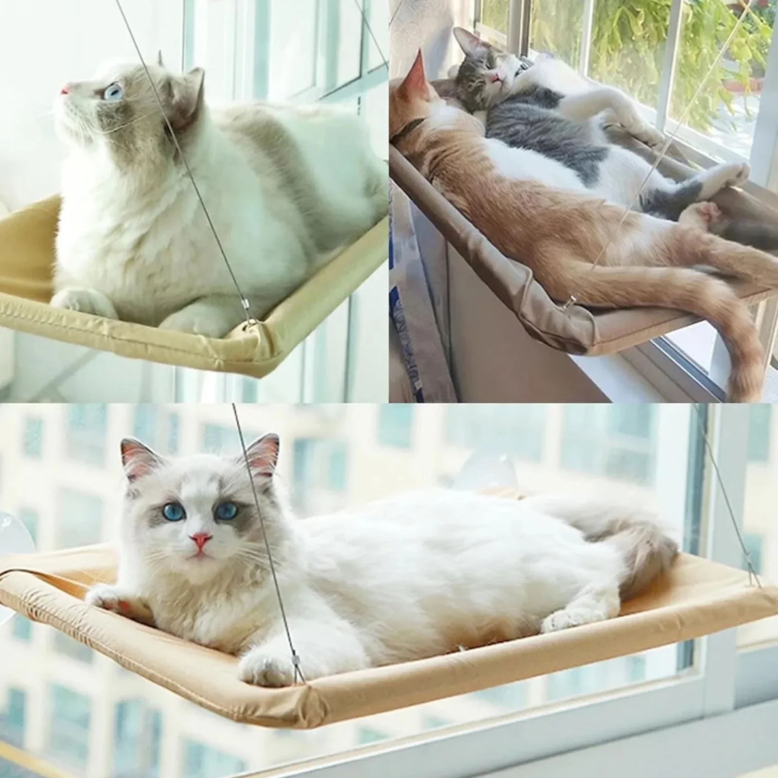 Cat Window Hammock Bed – Suction Cup Hanging Seat for Sunny Window Lounging - Image 4