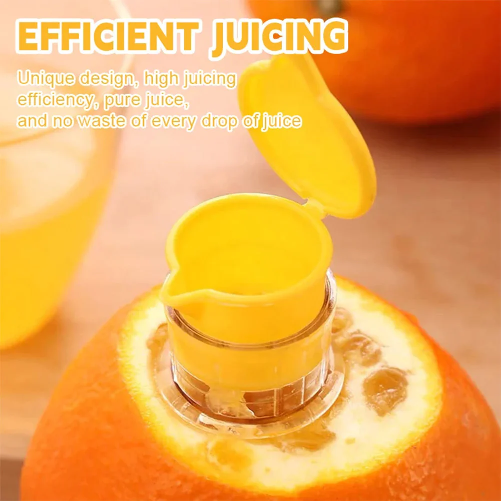 Citrus Juicer - Image 2