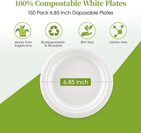Compostable Sugarcane Bagasse Dessert Plates - Image 5