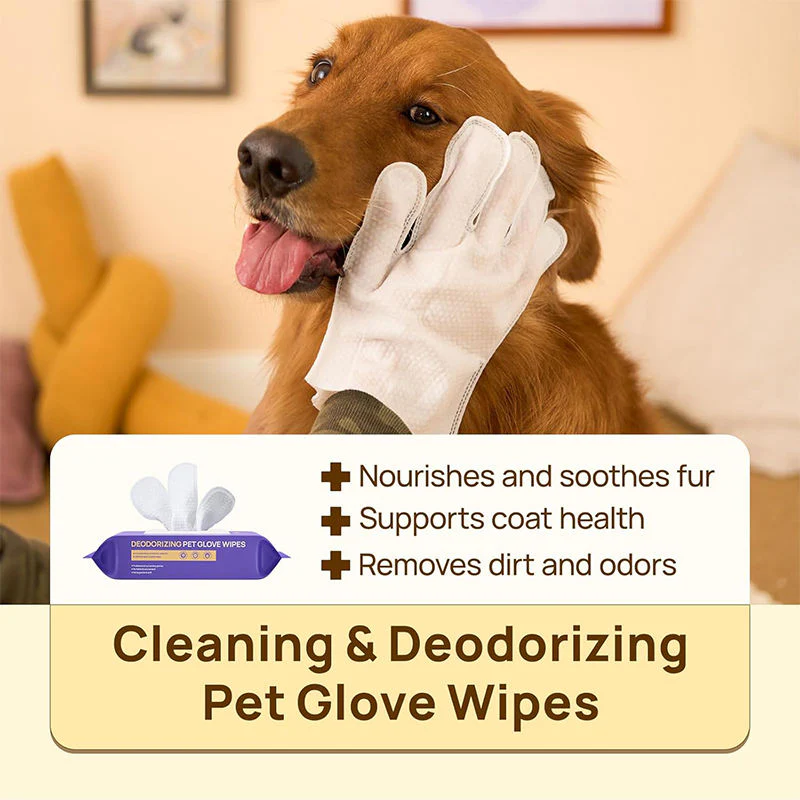 No-Rinse Hypoallergenic Deodorizing Pet Bathing Gloves – Waterless Cleaning for Dogs & Cats - Image 6
