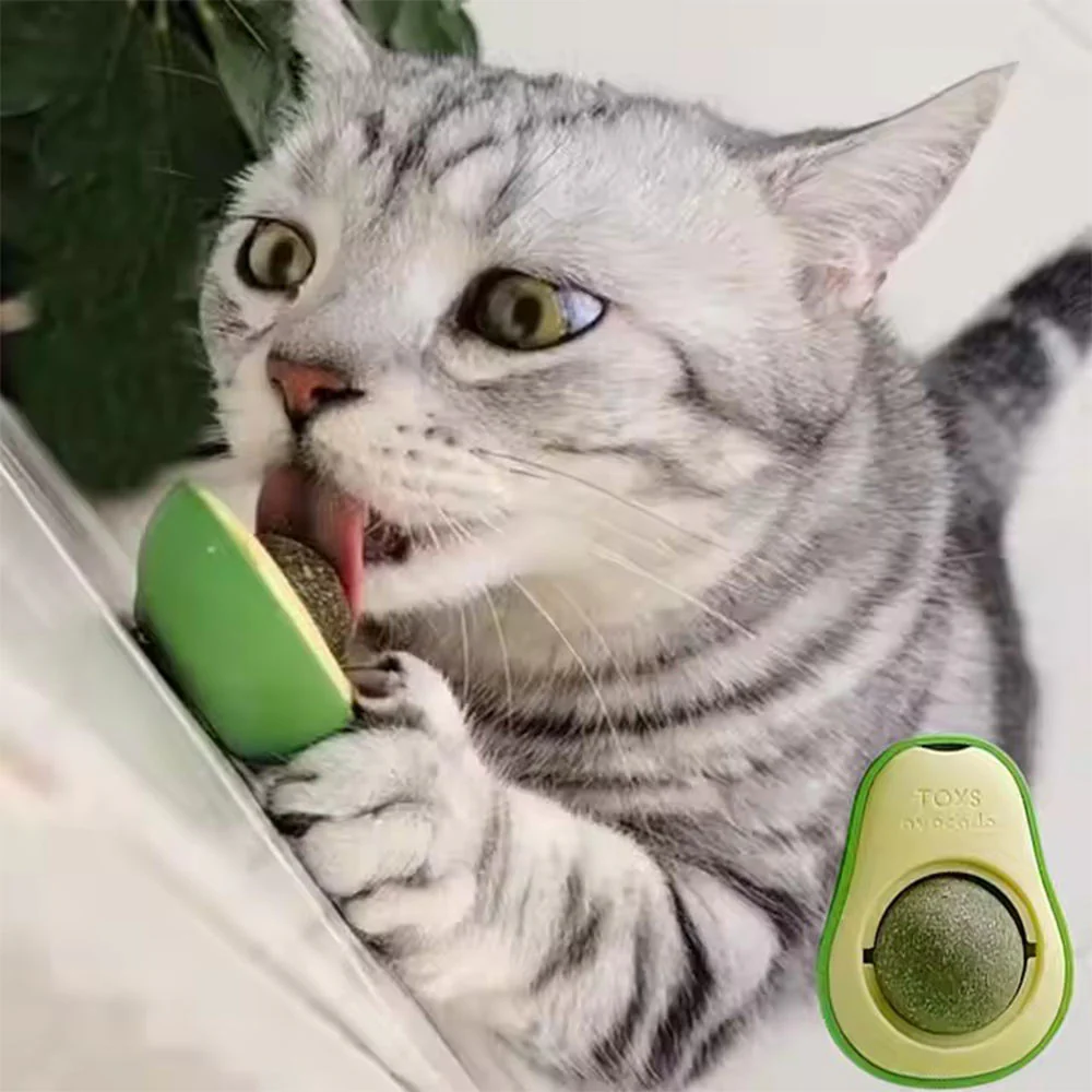 Spin Catnip Edible Licking Ball – Self-Rolling Dental Clean Teeth Toy for Cats & Kittens - Image 3